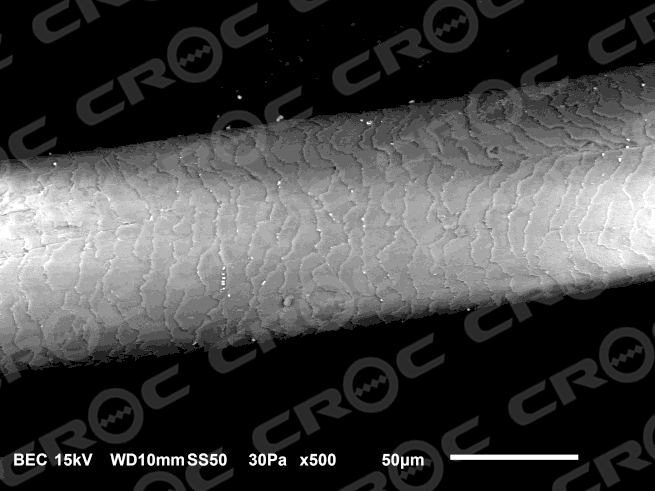 Tecnología CROC Infrared™ bajo el microscopio | Estudio CIMAV - CROC México
